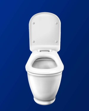 Toilettes monobloc 