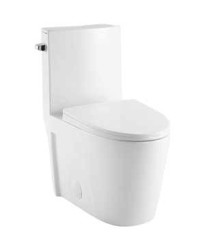 One Piece Toilette suiss